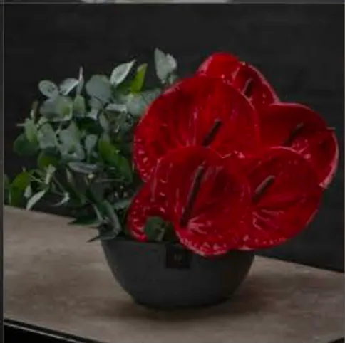 Modern arrangement, style 2