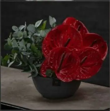 Modern arrangement, style 2